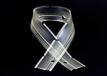 Front Squeegee Blade - Transparent