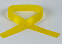 Front/Back Yellow PU